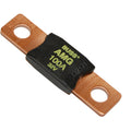 LittleFuse MEGA/AMG Fuse - 32V (0298)
